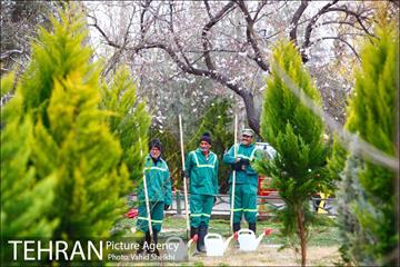 مراسم کاشت نهال در هفته منابع طبیعی (درخت فرهنگ و هنر) 16