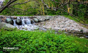 باغ گیاه‌شناسی 4