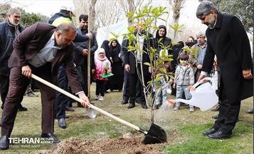 غرس ۱۱۰۰ نهال در منطقه ۱۱ 6