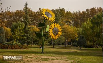 سمفونی رنگ های پاییزی - پارک لاله 19