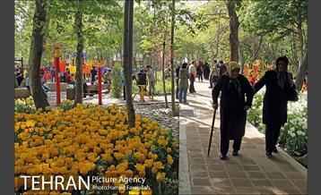 لاله های بهاری بوستان مختاری 10