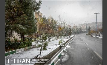 بارش نخستین برف پاییزی در تهران 16