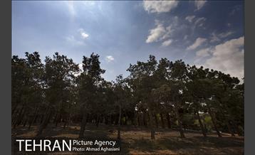 پارک سرخه حصار‎ 8