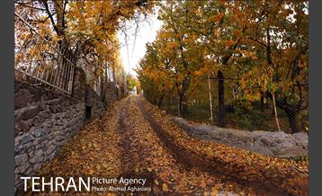 پاییز طلایی روستای افجه 5