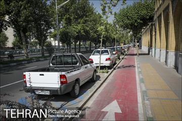 پارک خودرو‌ بین درختان چنار 1