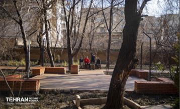 باغ گلاریس 12