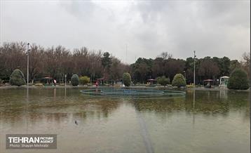 بارش باران زمستانی در تهران 36