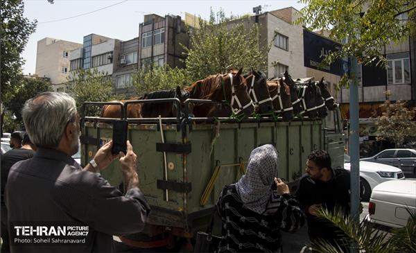 ورود نمادین کاروان امام حسین‌(ع) به کربلا 40