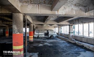 جای خالی پروانه ها 4