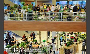 شانزدهمین نمایشگاه بین المللی گل و گیاه تهران - 2 37