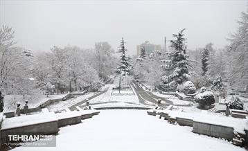 صبح برفی بوستان ملت 19