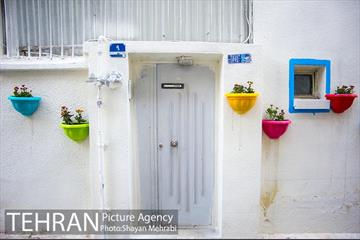 کوچه امیدی رنگ نوروز گرفت 30