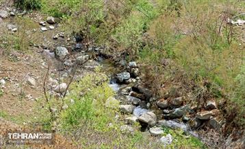 هوای بهاری منطقه 22 39