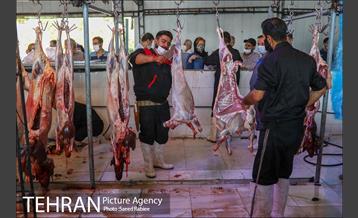 مرکز عرضه دام بهداشتی به مناسبت عید قربان در منطقه 22 تهران 10