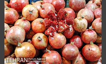 نمایشگاه شب یلدا 19