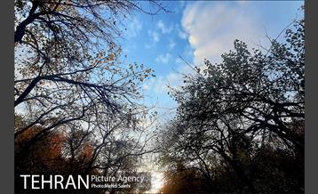 پاییز زیبای منطقه کن 13