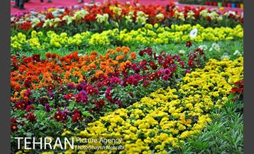 شانزدهمین نمایشگاه بین المللی گل و گیاه تهران - 2 22