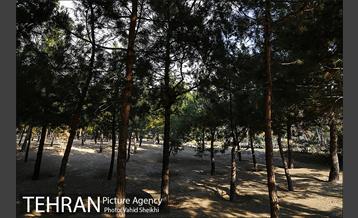 بوستان پرواز 34