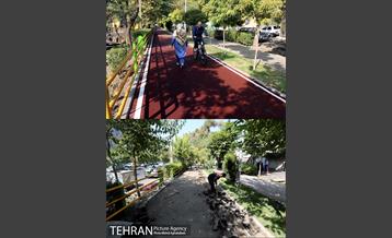 منطقه 8 در گذر زمان 11