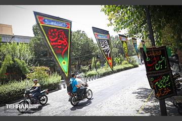 عطر بوی سیب وزیدن گرفت 13