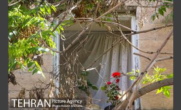 پنجره های شهر تهران 11