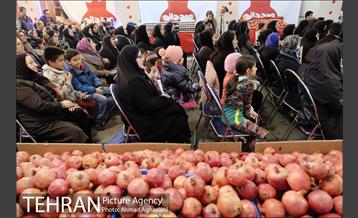 هفتمین جشنواره انار فرهنگسرای اشراق 27