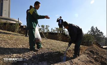 آیین کاشت گیاهان بومی پایتخت در برج میلاد 10