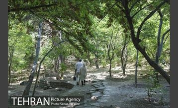 بوستان جمشیدیه‎ 21