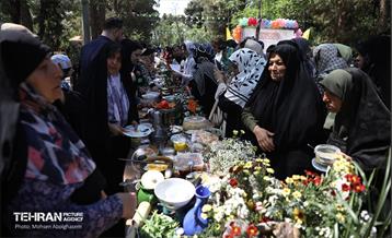 جشنواره غذای سالم 15