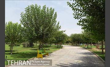 بوستان پردیس بانوان 21