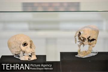 موزه ایران باستان 35