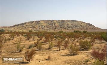 مهار زلزله خاموش 22