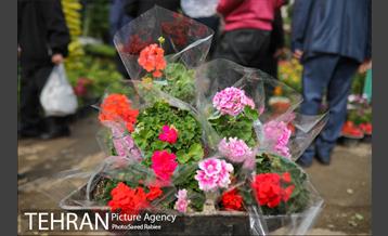 بازار گل و گیاه غرب تهران در آستانه نوروز 33