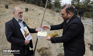 جشن درختکاری در منطقه ۵ 8