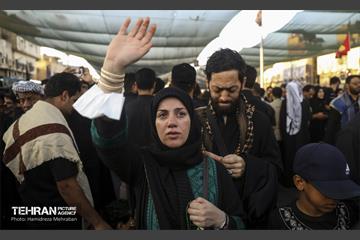 اربعین حسینی در کربلای معلی 10