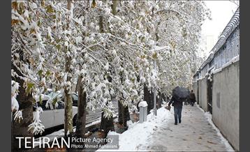 بارش اولین برف پاییزی در تهران 14