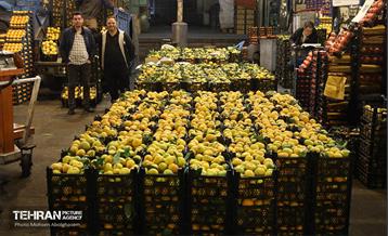 تره‌بار یلدایی 88