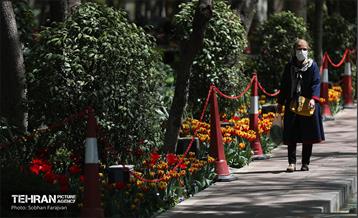 باغ ایرانی میزبان لاله‌ها 39