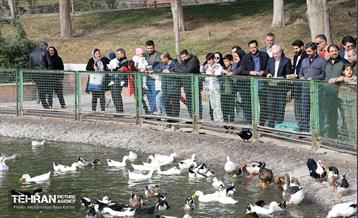گردهمایی خانواده شهرداری منطقه ۱۶ در بوستان بعثت 13