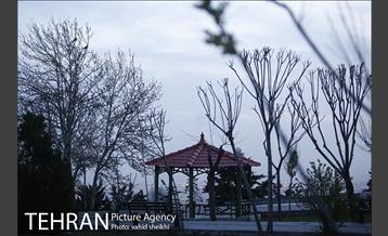 شب های آرام تهران 8