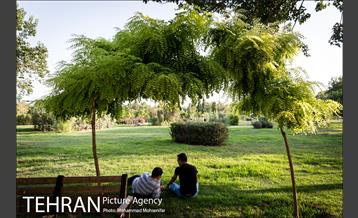 شهرنگار؛ بوستان قائم 13