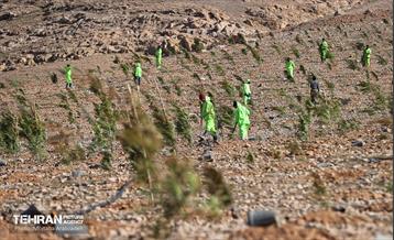 احداث فاز یک کمربند سبز شهر تهران 22