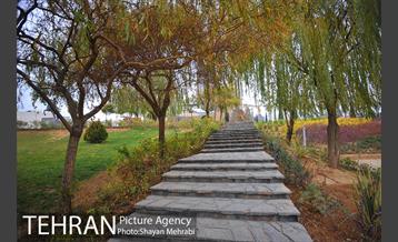 پاییز منطقه گردشگری اراضی عباس آباد 16