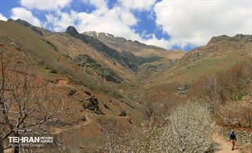طبیعت بهاری روستای سنگان 22