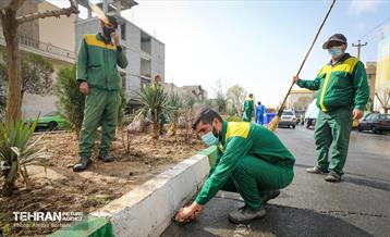 اجرای طرح کوچه تکانی 12