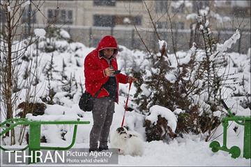 تفریحات برفی در پارک پردیسان تهران 20