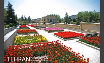 رویش گل های لاله در بوستان گفتگو 12