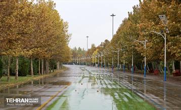 یک روز بارانی در منطقه 19 3