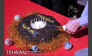 جشن تولد جوجه درنای تاج خاکستری آفریقایی 3