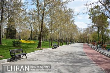 روز طبیعت متفاوت شهر تهران-1 13